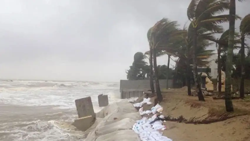 Gió giật mạnh đi kèm thường cảnh báo một cơn dông đang đến gần