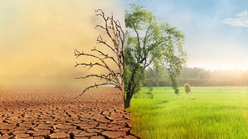 Biến đổi khí hậu làm gia tăng tần suất mưa trái mùa