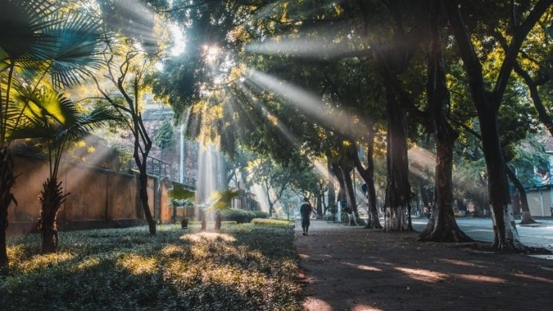 Ánh sáng mặt trời trở nên êm dịu khi có nắng nhẹ