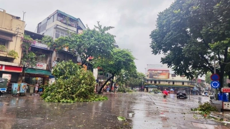 Nước ngọt từ nước mưa góp phần bổ sung tài nguyên