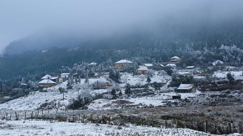 Nhiệt độ giảm sâu là dấu hiệu rõ rệt của đợt rét hại