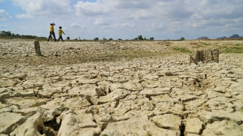 Suy thoái đất góp phần thúc đẩy sa mạc hóa lan rộng