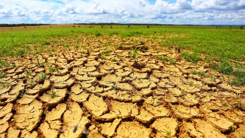 Hạn hán kéo dài tạo điều kiện cho sa mạc hóa diễn ra nhanh