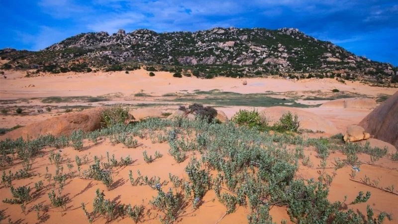 Biến đổi khí hậu khiến sa mạc hóa trở thành mối nguy toàn cầu