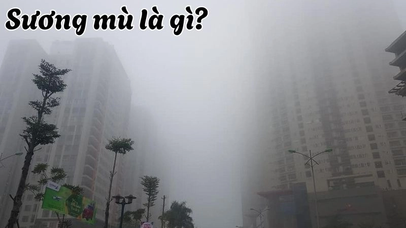 Sương mù là hiện tượng hơi nước ngưng tụ gần mặt đất