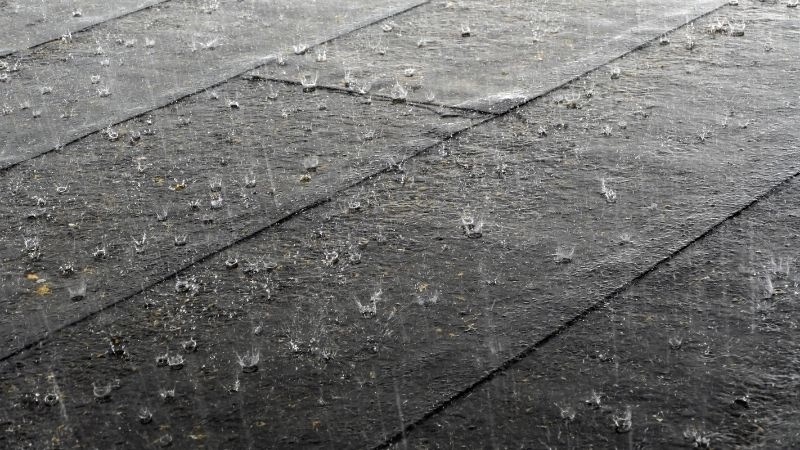 Lượng mưa là chỉ số thời tiết thiết yếu cho dự báo nông nghiệp