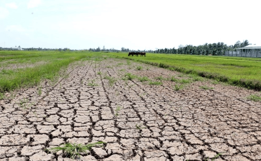 Gia tăng hạn hán kéo dài phản ánh sự biến đổi của thời tiết cực đoan