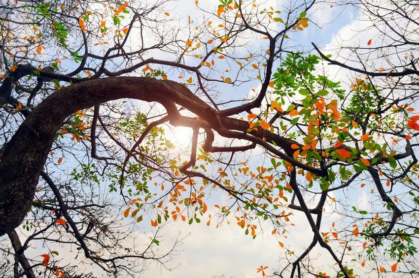 Trạng thái không mưa ráo thuận lợi cho mọi hoạt động là thời tiết đẹp