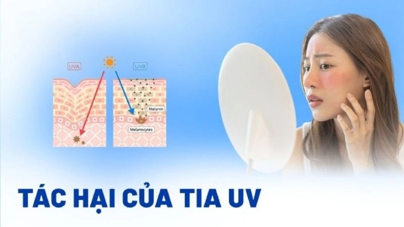 Tác hại uv gia tăng khi tia cực tím (uv) đạt ngưỡng cao