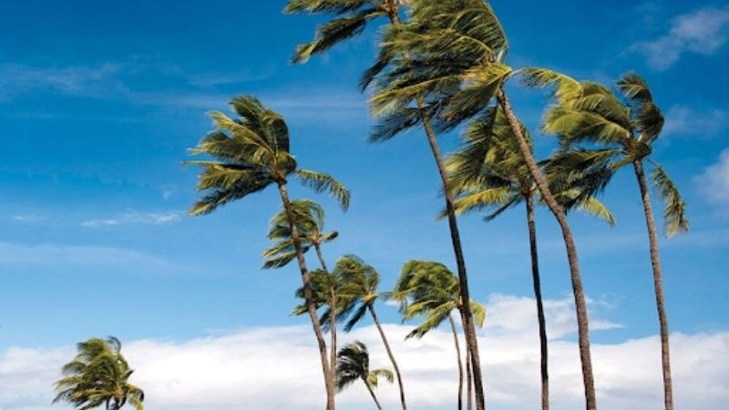 Gió mạnh xuất hiện khi tốc độ gió vượt ngưỡng an toàn