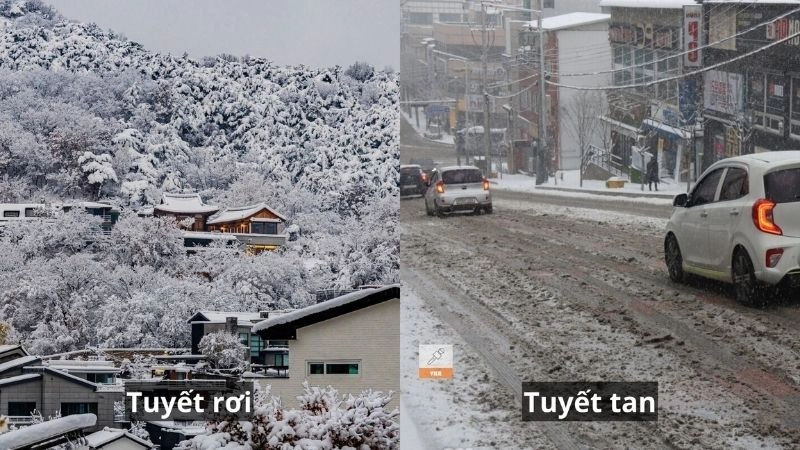 Tuyết tan là quá trình băng chuyển thành nước khi nhiệt lên