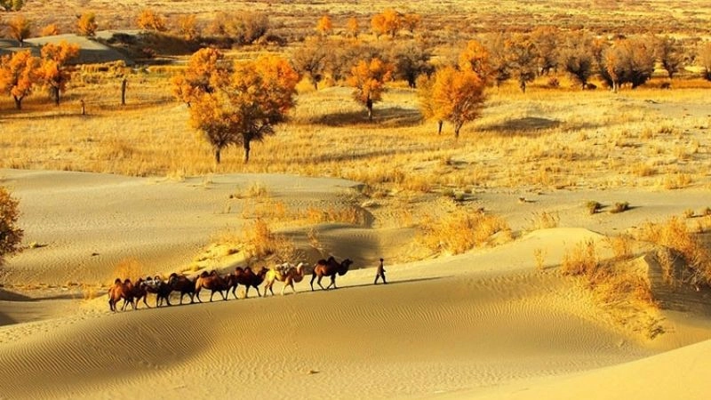 Sa mạc là vùng khí hậu khô hạn với lượng mưa cực thấp