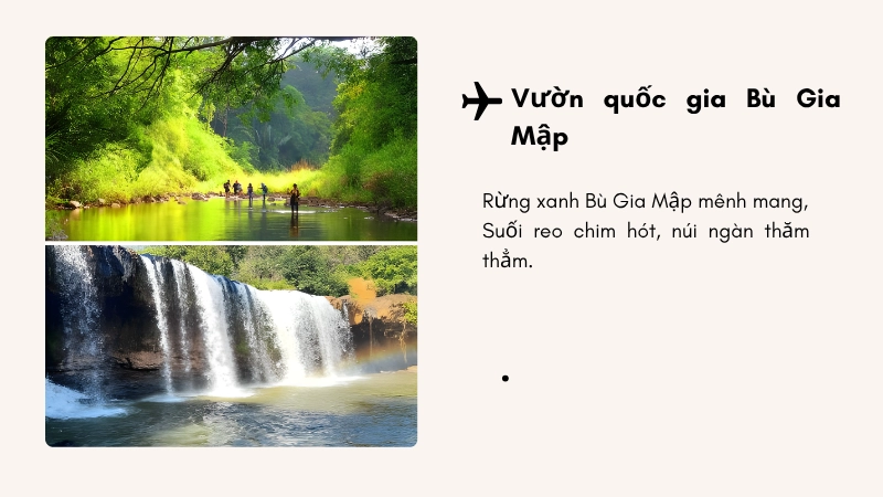 Khám phá vẻ đẹp hoang sơ và đa dạng sinh học tại Vườn quốc gia Bù Gia Mập.