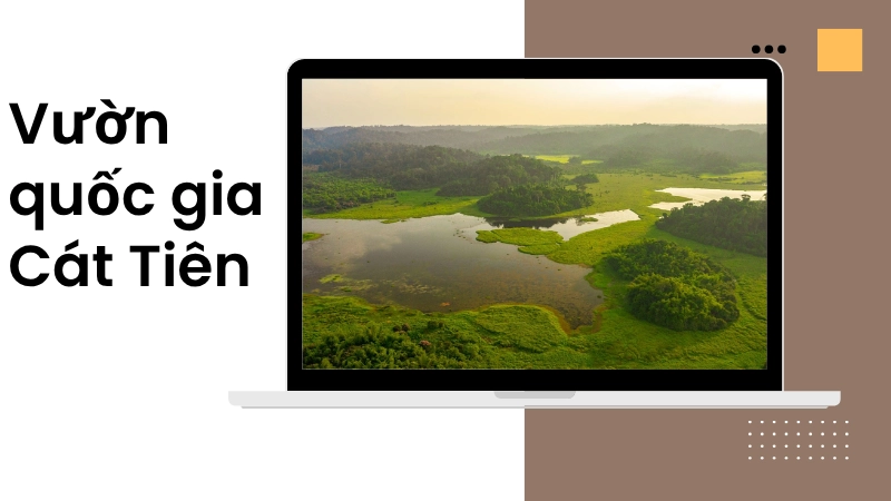 Hệ sinh thái phong phú tại Vườn quốc gia Cát Tiên