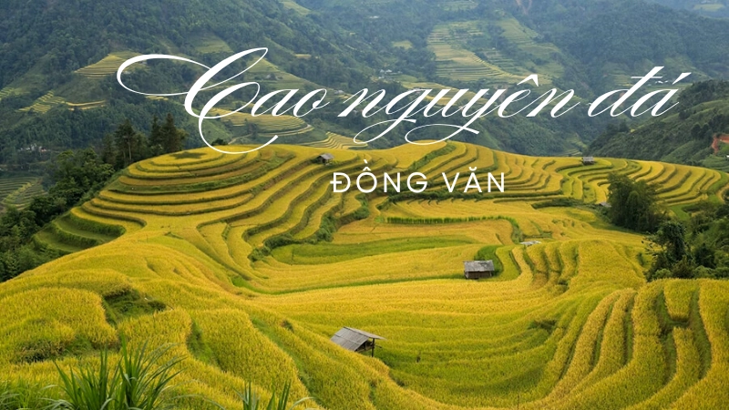 Khám phá vẻ hùng vĩ của Cao nguyên đá Đồng Văn