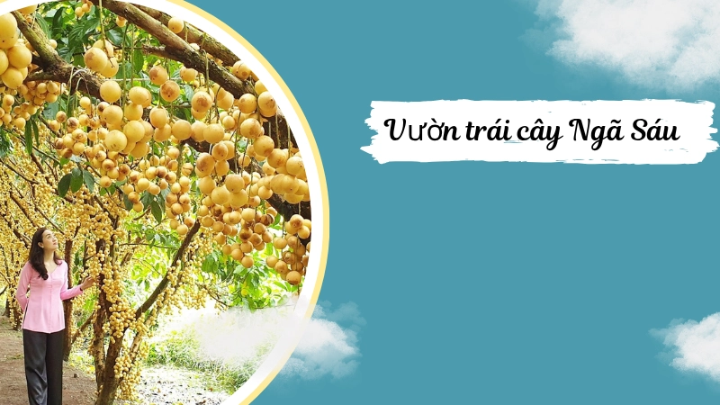 Điểm đến du khách đến Hậu Giang không thể bỏ qua