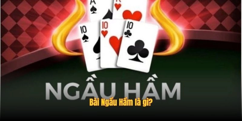 Bài ngầu hầm là gì?