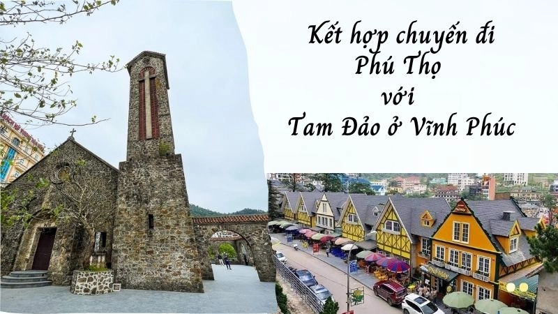 Bạn có thể đến Tam Đảo