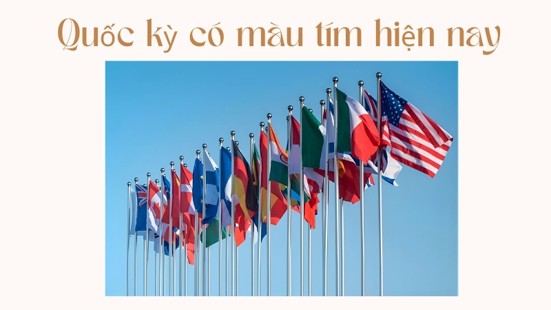 Hình ảnh chú vẹt sisserou màu tím trên cờ của dominica