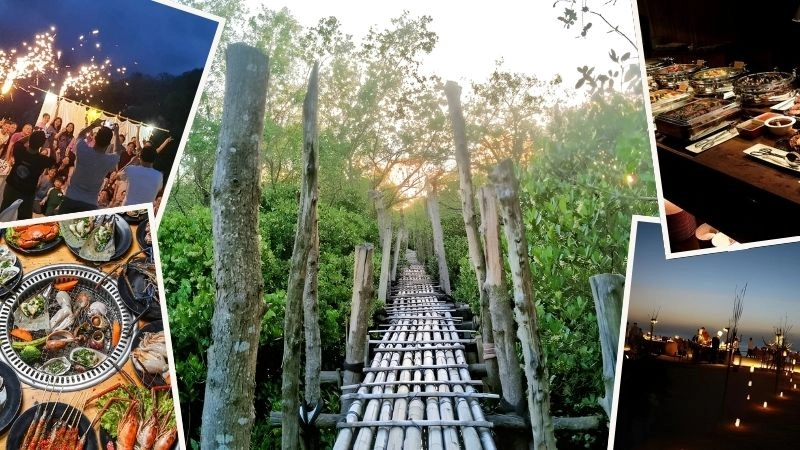 Khám phá rừng ngập mặn