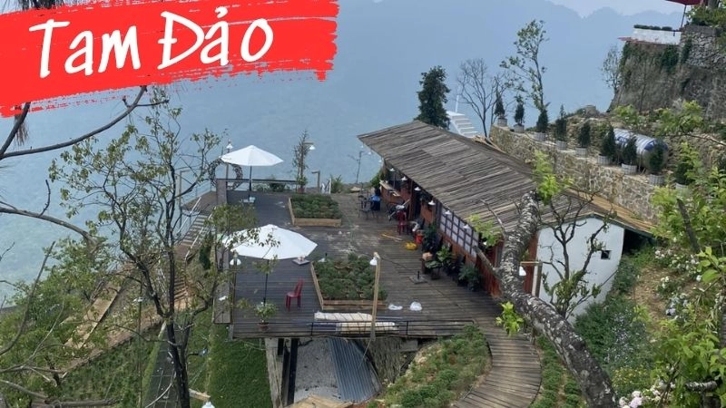 Săn mây Tam Đảo