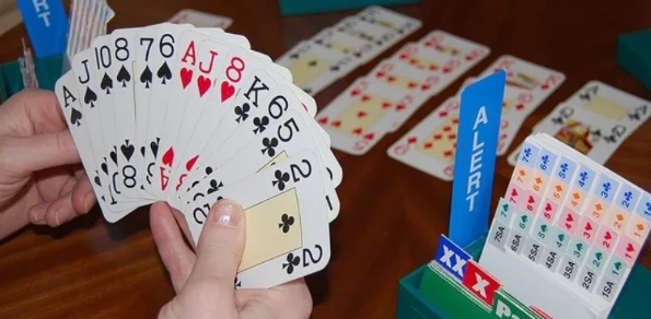 Tổng quan về bài Bridge