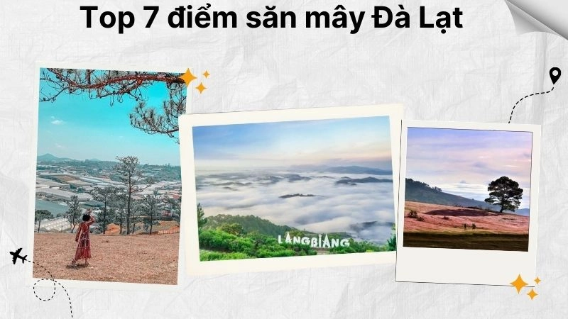 Top 7 điểm săn mây Đà Lạt đang “hot rần rần” 2025-2026