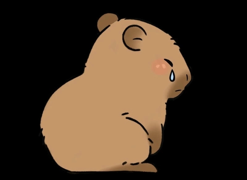 Hình capybara chibi cute hợp dùng làm avatar