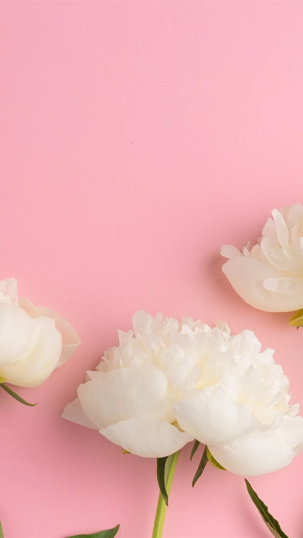 Hình nền 4k cho iphone hiển thị màu sắc sống động