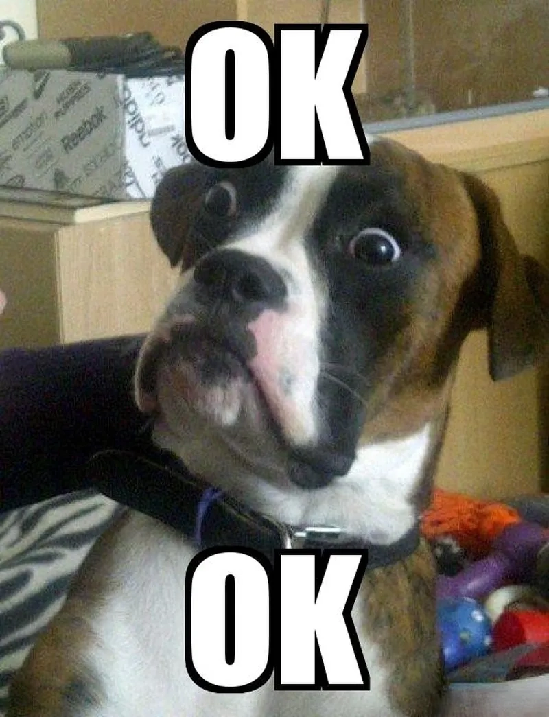 Meme ok đơn giản dễ dùng thể hiện sự đồng ý