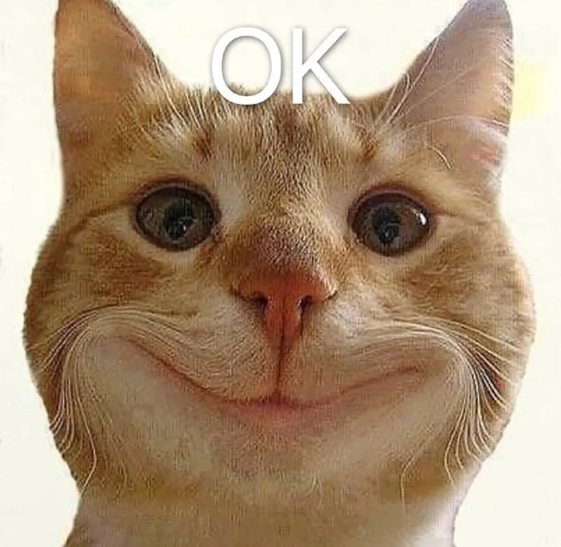 Ok... meme biểu cảm lưỡng lự nhìn rất hài