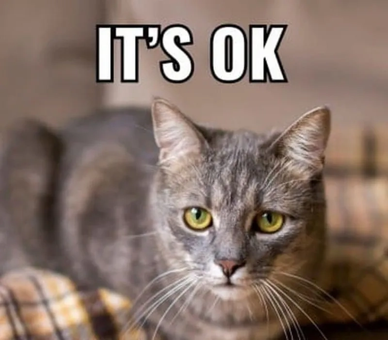 Ok memes vui vẻ phù hợp chia sẻ mạng xã hội