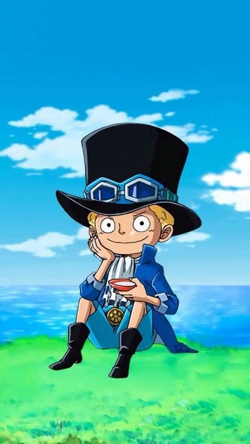 Hình ảnh Sabo cute mang nét gần gũi