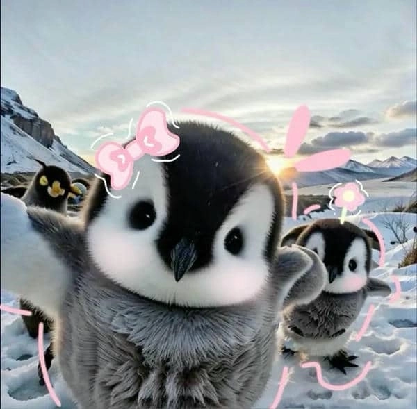 Hình nền penguin dễ thương thích hợp cho điện thoại.