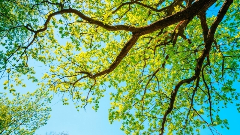 Bộ sưu tập ảnh phong cảnh đẹp full hd sắc nét cho mọi thiết bị.