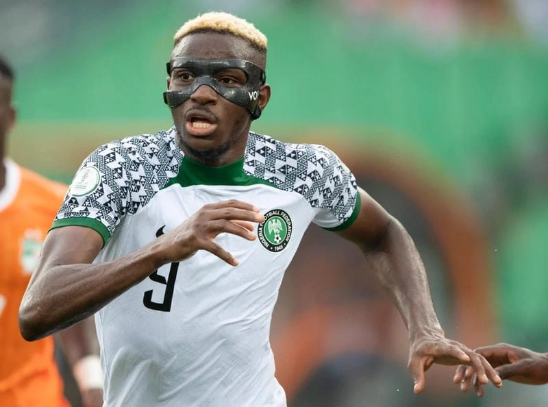 Cấu tạo đặc biệt của 