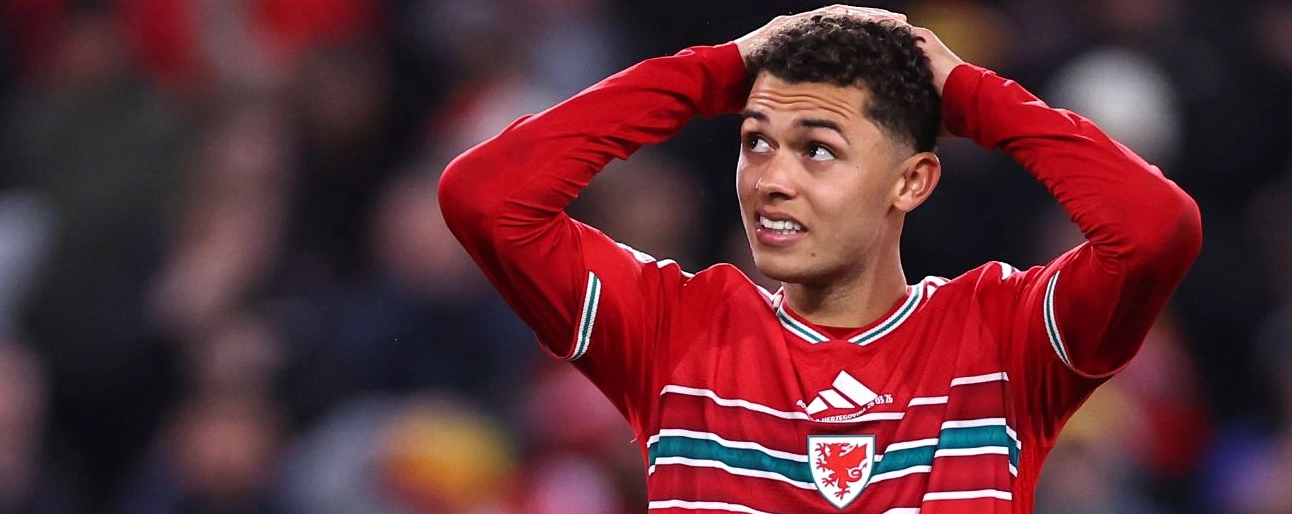 Phân tích Haris Tabakovic