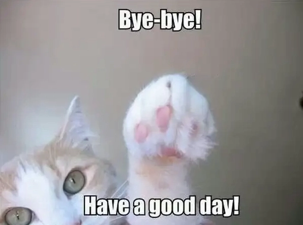 Ai nỡ đi khi nhận được hình chào tạm biệt như thế này