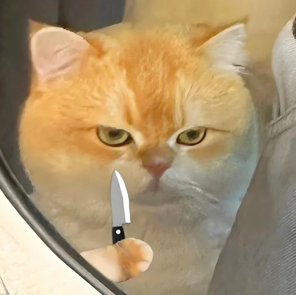 Ảnh cầm dao meme