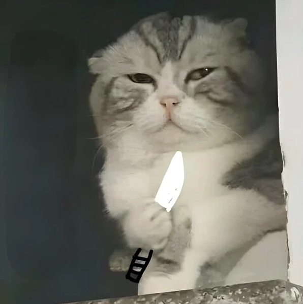 Ảnh cầm dao ngầu meme