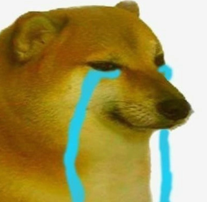 Ảnh chế chó khóc trôi cả thế giới