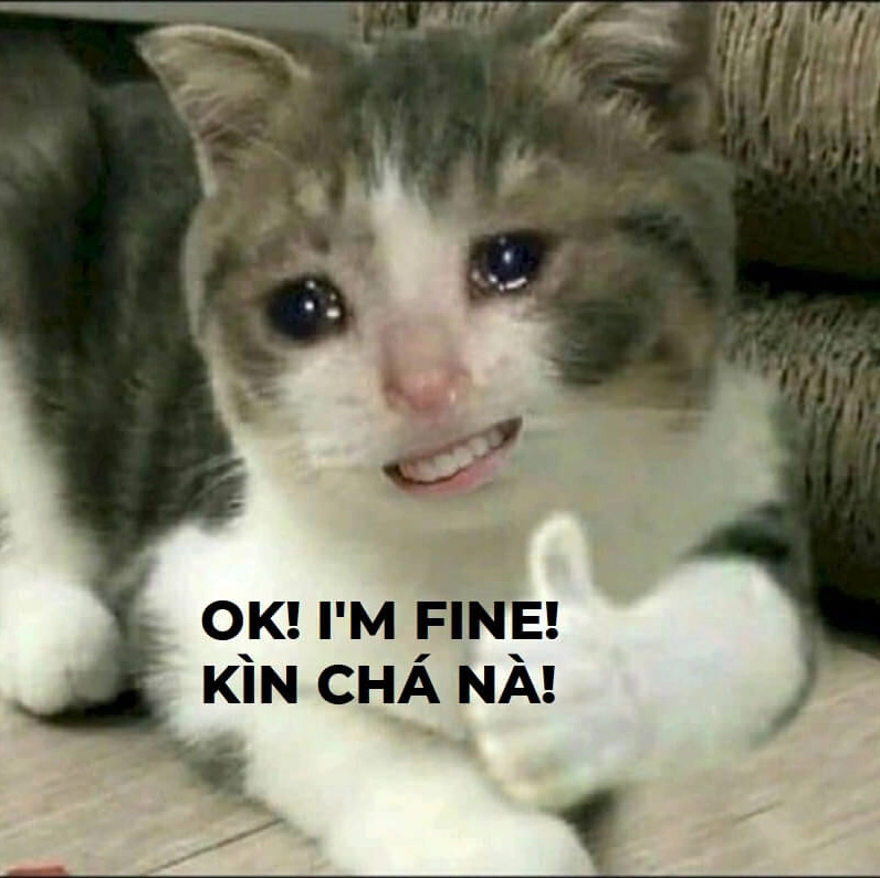 Ảnh cười meme cực chất