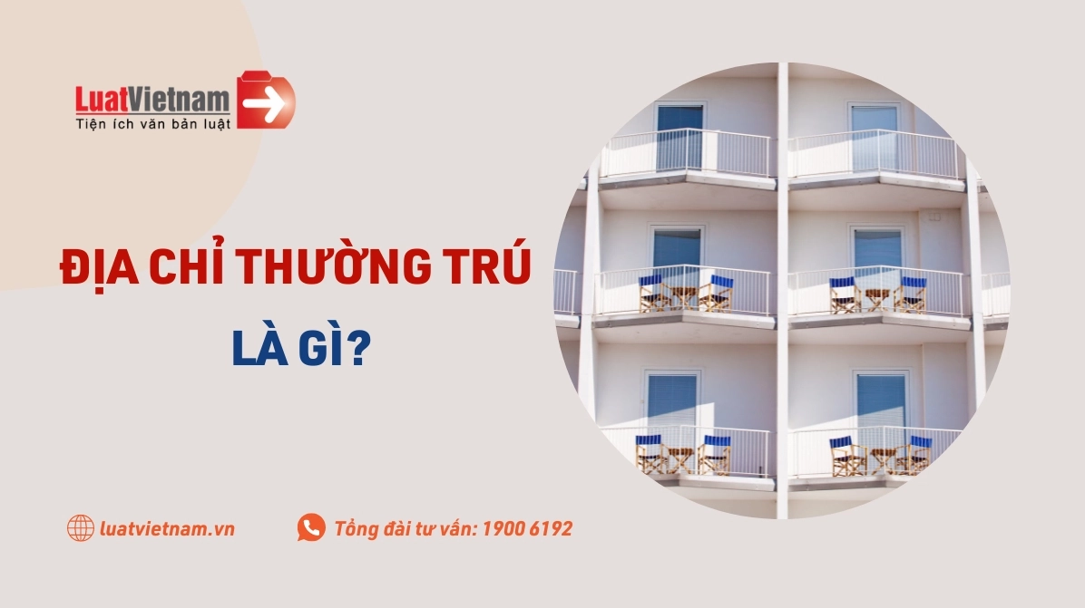 Ảnh đại diện thông tin địa chỉ thường trú là gì