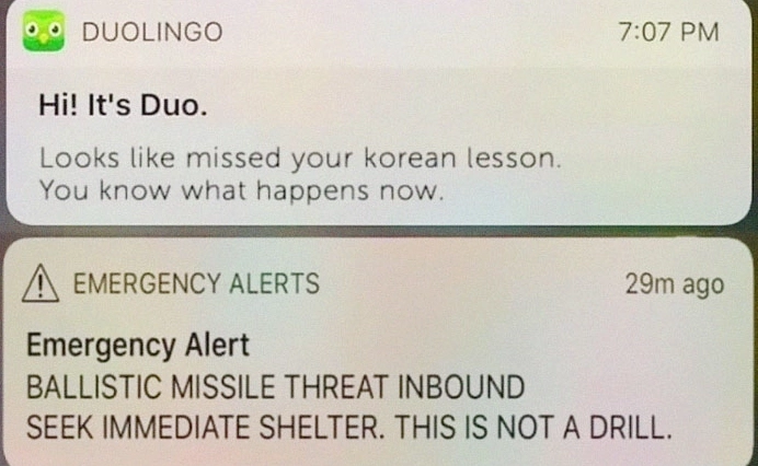 ảnh duolingo meme thông báo học bài khẩn cấp