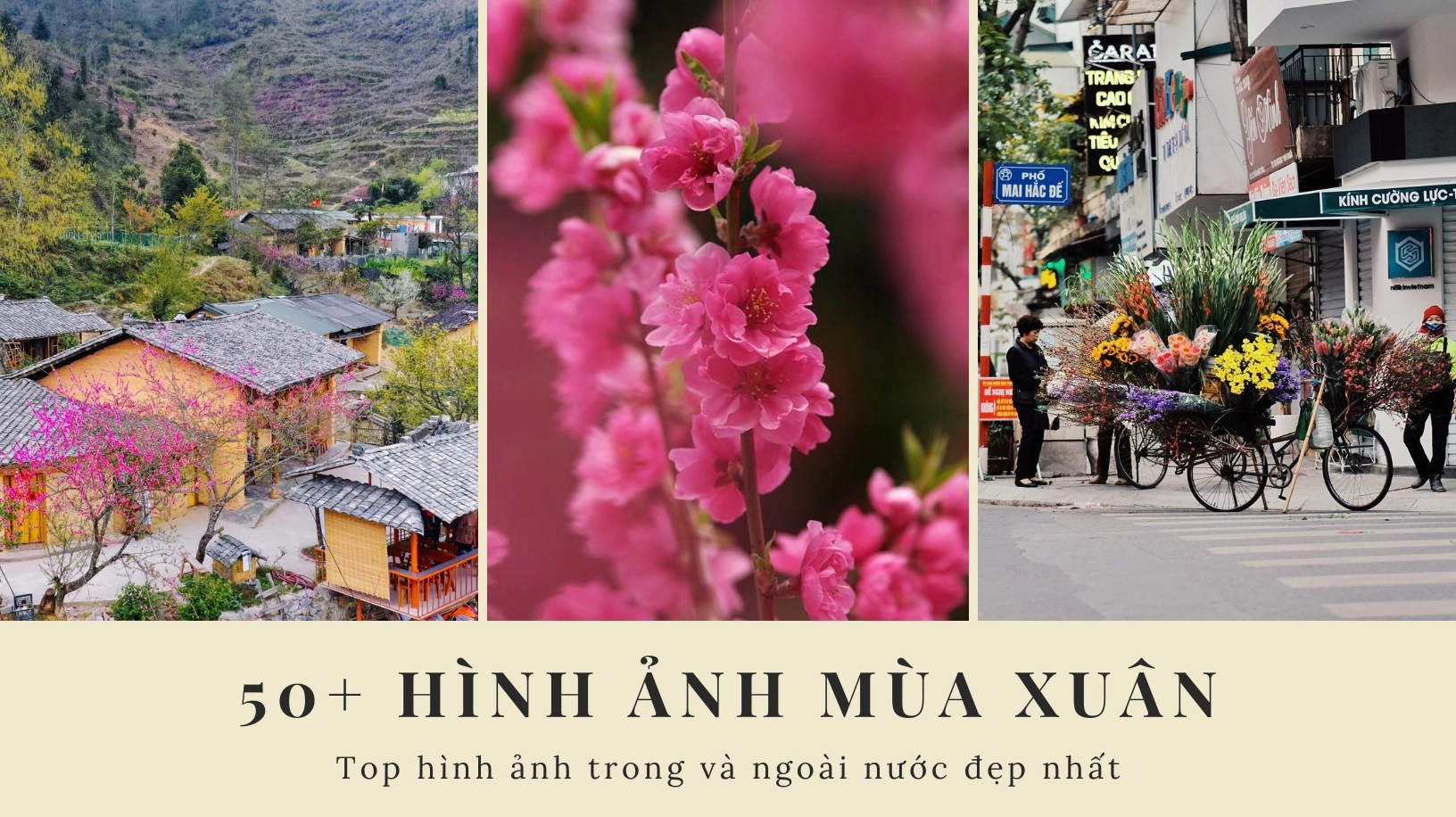 Ảnh gái đẹp ngày xuân quyến rũ và đầy sức sống năm 2026