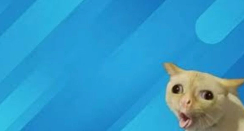 ảnh hình nền meme màn hình chờ