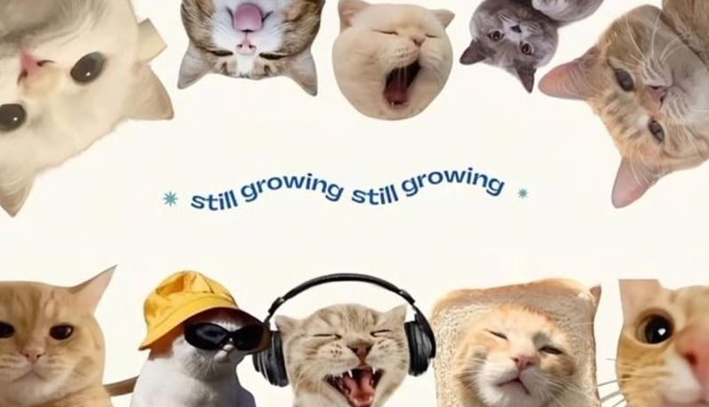 ảnh hình nền meme nghệ thuật 3D