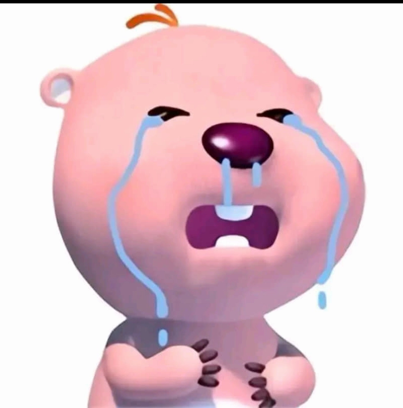 ảnh loopy meme suy ngẫm