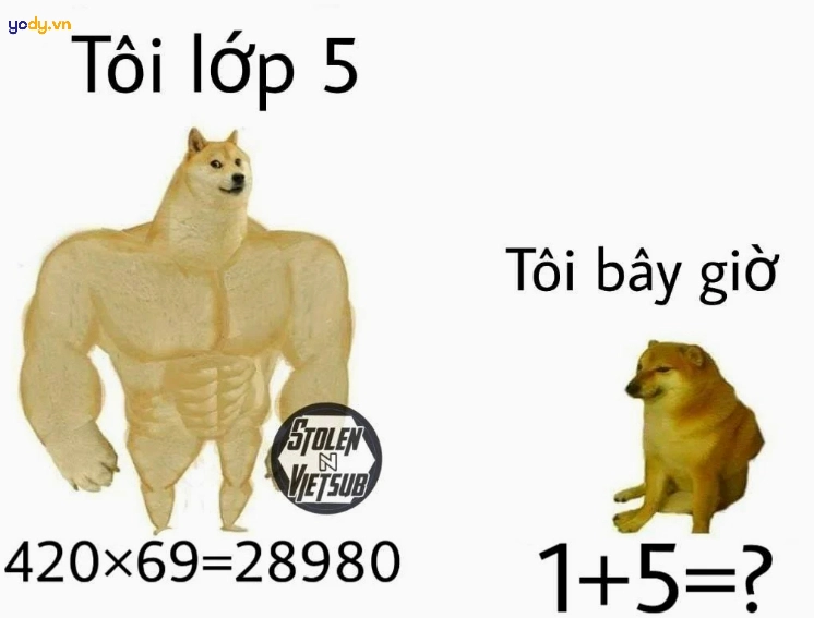 Ảnh meme Cheems học sinh hài hước