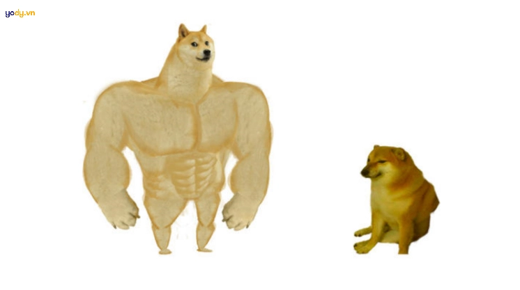Ảnh meme Cheems vs Swole Doge
